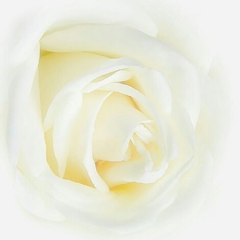 東京オフィス移転のお知らせ